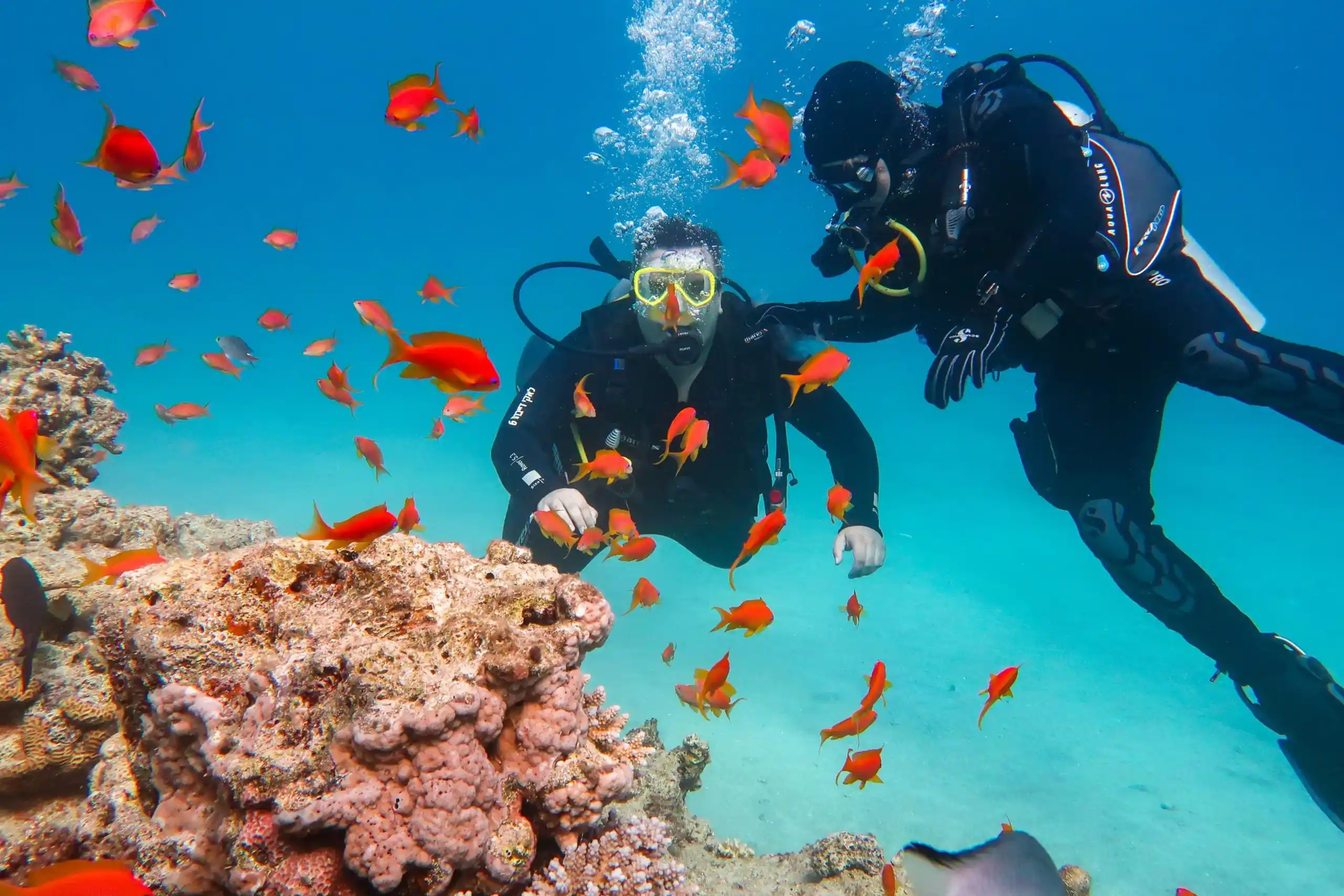 Scuba Diving Grand Island
